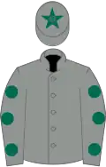 Grey, dark green spots on sleeves, grey cap, dark green star