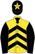 Yellow, black chevrons and sleeves, black cap, yellow star