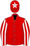 Red, red and white striped sleeves, white star on cap