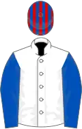 White, royal blue sleeves, royal blue and red striped cap