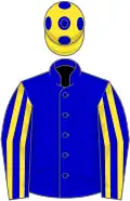 Blue, yellow striped sleeves, yellow cap, blue spots