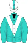Turquoise, white chevron, white cap, turquoise stripe