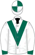 White, Dark Green chevron, cuffs on sleeves and quartered cap