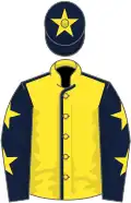 Yellow, dark blue seams, dark blue sleeves, yellow stars, dark blue cap, yellow star