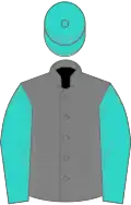 Turquoise sleeves and cap