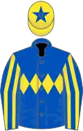 Royal blue, yellow triple diamond, striped sleeves, yellow cap, royal blue star