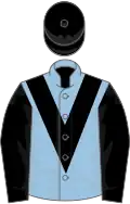 Light blue, black chevron, sleeves and cap
