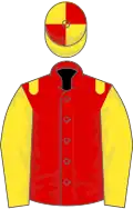 Red, yellow epaulets and sleeves, yellow and red quartered cap