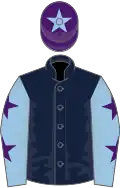 Dark Blue, Light Blue sleeves, Purple stars, Purple cap, Light Blue star