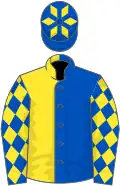 Royal blue and yellow halved, yellow diamonds on sleeves,blue cap,yellow diamonds