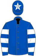 Royal blue, royal blue and white hooped sleeves, white star on cap