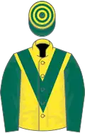 Yellow, dark green chevron and sleeves, dark green and yellow hooped cap