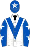 White, royal blue chevron, blue sleeves, white stars, blue cap, white star