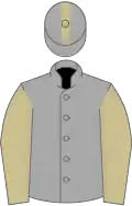 Dark grey, beige sleeves and stripe on cap