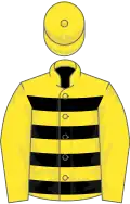 Yellow, black hoops on body