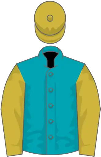 Turquoise, old gold sleeves, old gold cap