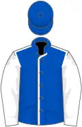 Royal blue, white seams and sleeves