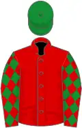 Red, green diamonds on sleeves, green cap