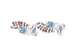 1nfi: I-KAPPA-B-ALPHA/NF-KAPPA-B COMPLEX