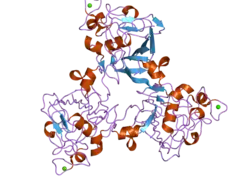 2j64: H-FICOLIN