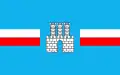 Flag of Gostynin