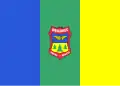 Flag of Węgliniec