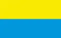 Flag of Koszyce