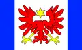 Flag of Gmina Rędziny