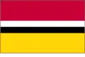 Flag of Gmina Raszyn