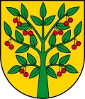 Coat of arms of Gmina Wiśniew