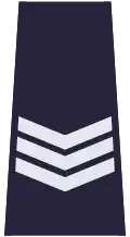 Sierżant sztabowy (Policja)[54]