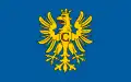 Flag of Cieszyn County