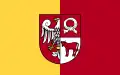 Flag of Czarnkowsko-trzcianecki County