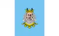 Flag of Rypiński County