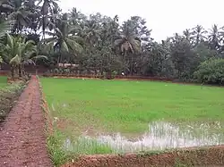 Madhur village