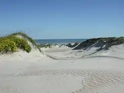 Sand dunes at Padre Island National Seashore
