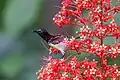 Closeup with bird