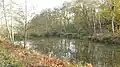 Paices Wood Country Parkland