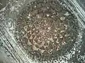 Ornate ceiling