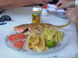 Fried red snapper, fried plantain, rice and tomato