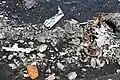 2022: Part of the debris field left on Colony Glacier