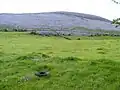 Pasture alongside Corker Pass road, Oughtmama Townland