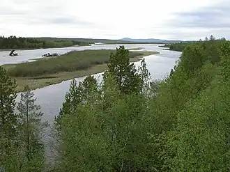 Pasvik Zapovednik