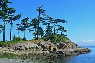 Island tip