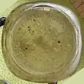 Pauls Darwin quart milk bottle base