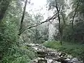 Near its ponor.