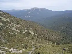 Valsaín Valley with Peñalara behind