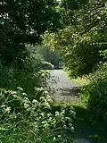 by Magazine Wood, Sedgeford