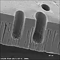 Microwells with perforated bottom.