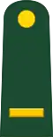 Sub-Lieutenant